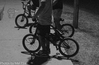 PBM_010