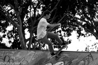 PBM_019